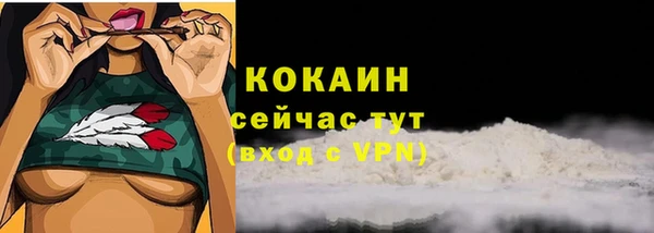 Альфа ПВП Сосновый Бор