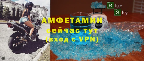 индика Пересвет