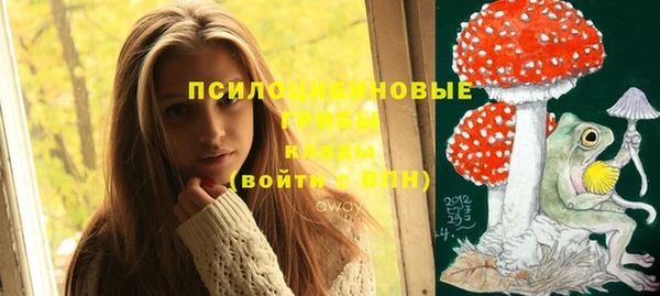 индика Пересвет