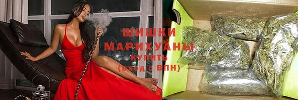 индика Пересвет
