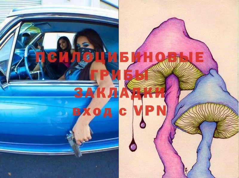 Галлюциногенные грибы Psilocybe  Белоярский 